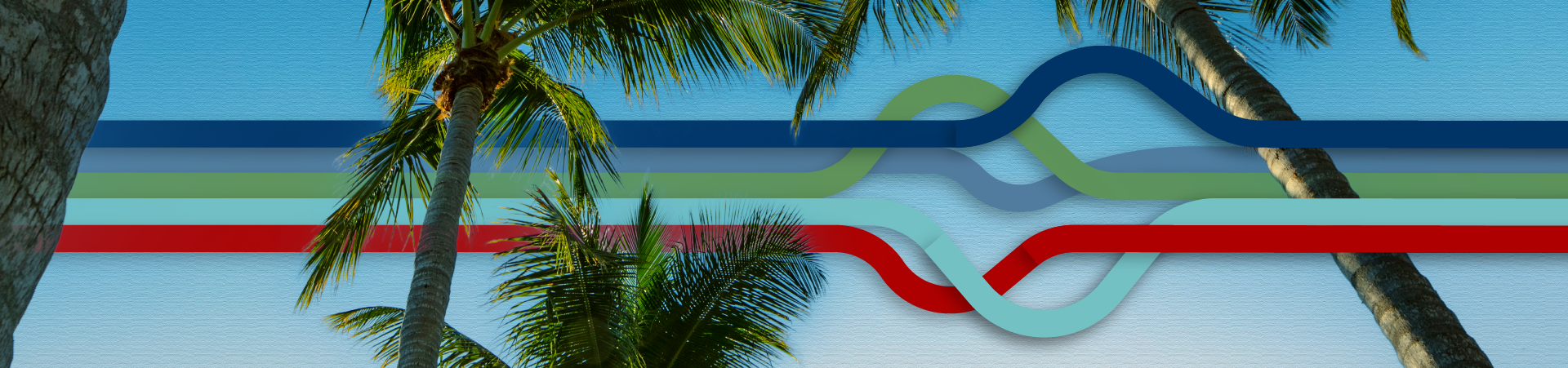 image of palm fronds with abstrct lines in red and blue